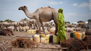 somalia-camel-story-top