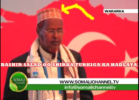 Bashiirturki1